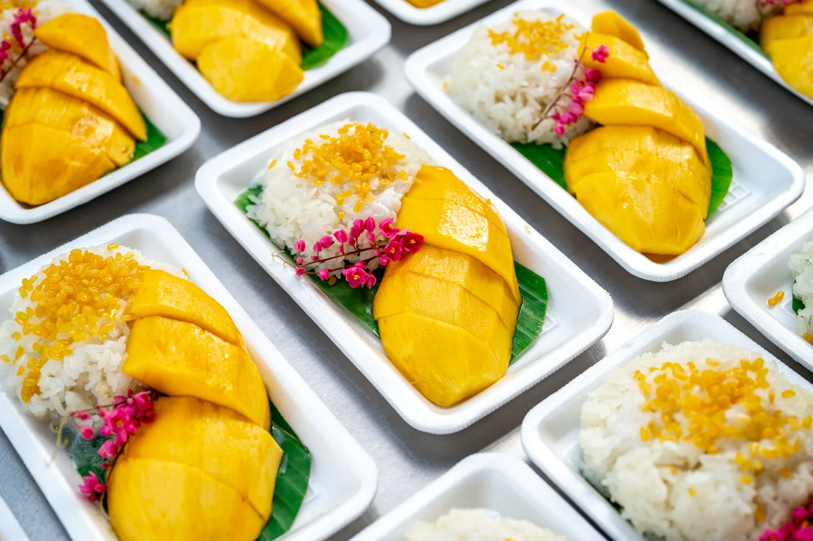 Mango and rice served on plates